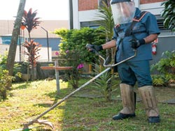 Terceirização de Jardinagem